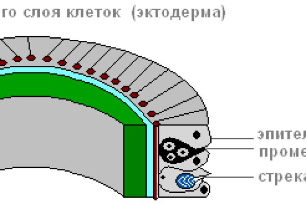 Ссылка кракен магазин